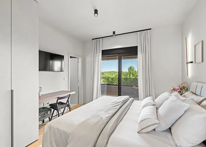 Nea With Private Pool And Bbq Tar-Vabriga